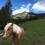 Renata - Wendelstein *