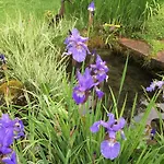 Renata - Wendelstein Bayrischzell