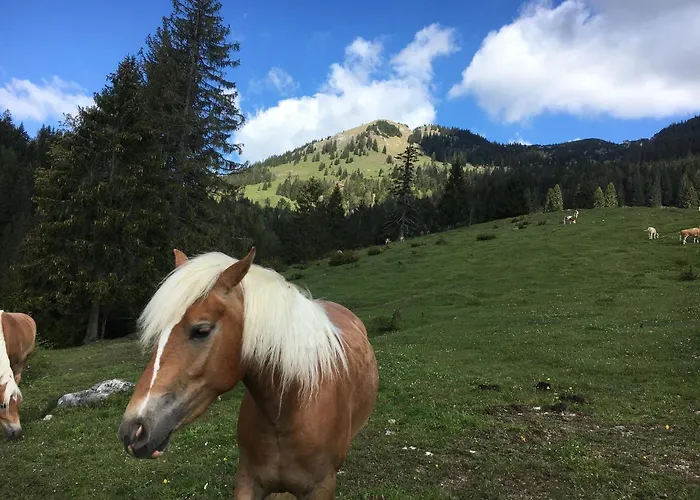 Renata - Wendelstein *