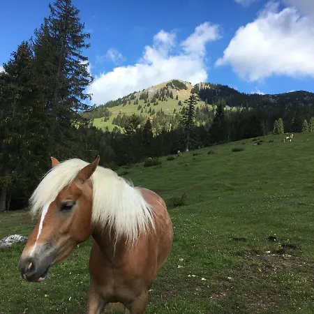 Renata - Wendelstein *